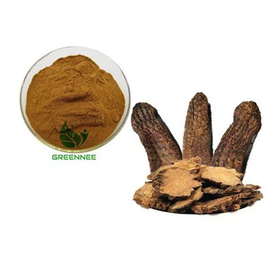 Cistanche Equinacòsid d’extracte de DesertRticola 30% 50% 82854-37-3